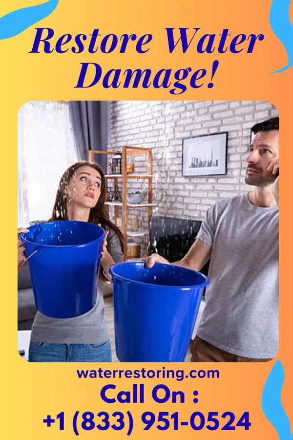 water restoration Rapid Emergency Restoration Specialists Dumont
