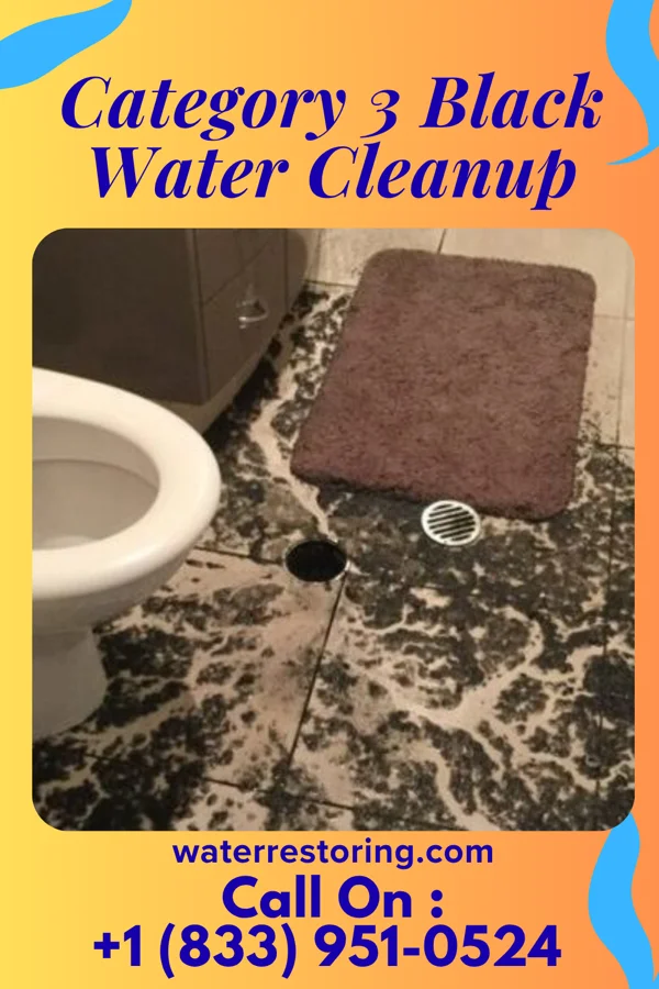 Category 3 Black Water Cleanup in Dumont, MN