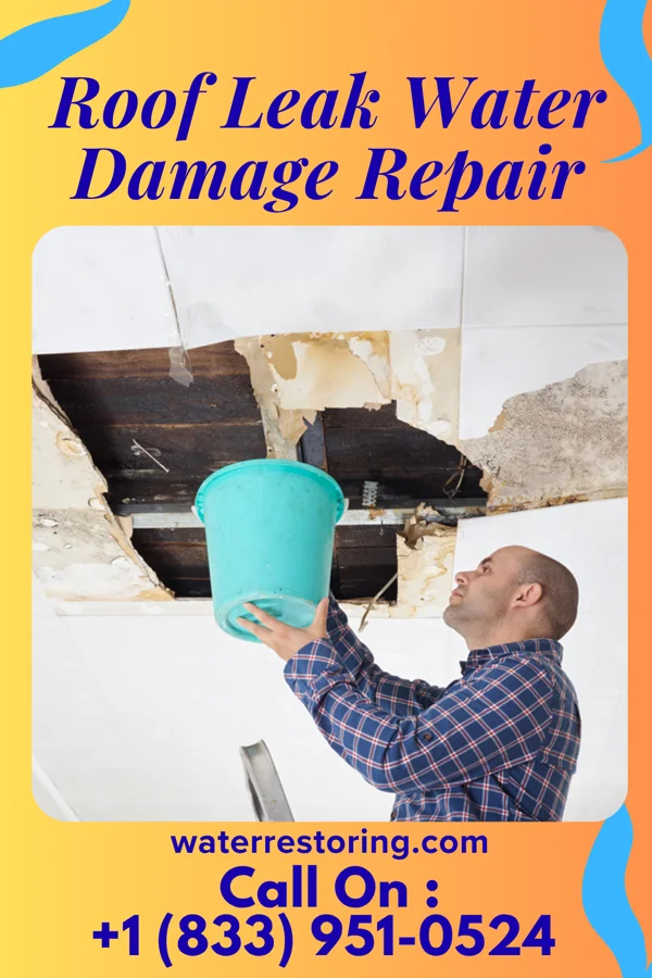 Roof Leak Water Damage Repair in Dumont, MN