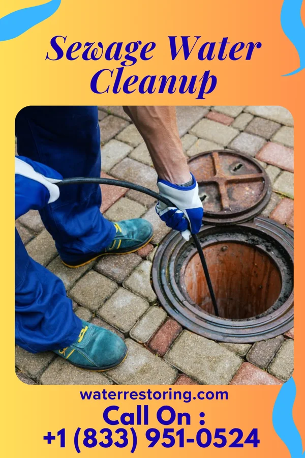 Sewage Water Cleanup in Dumont, MN